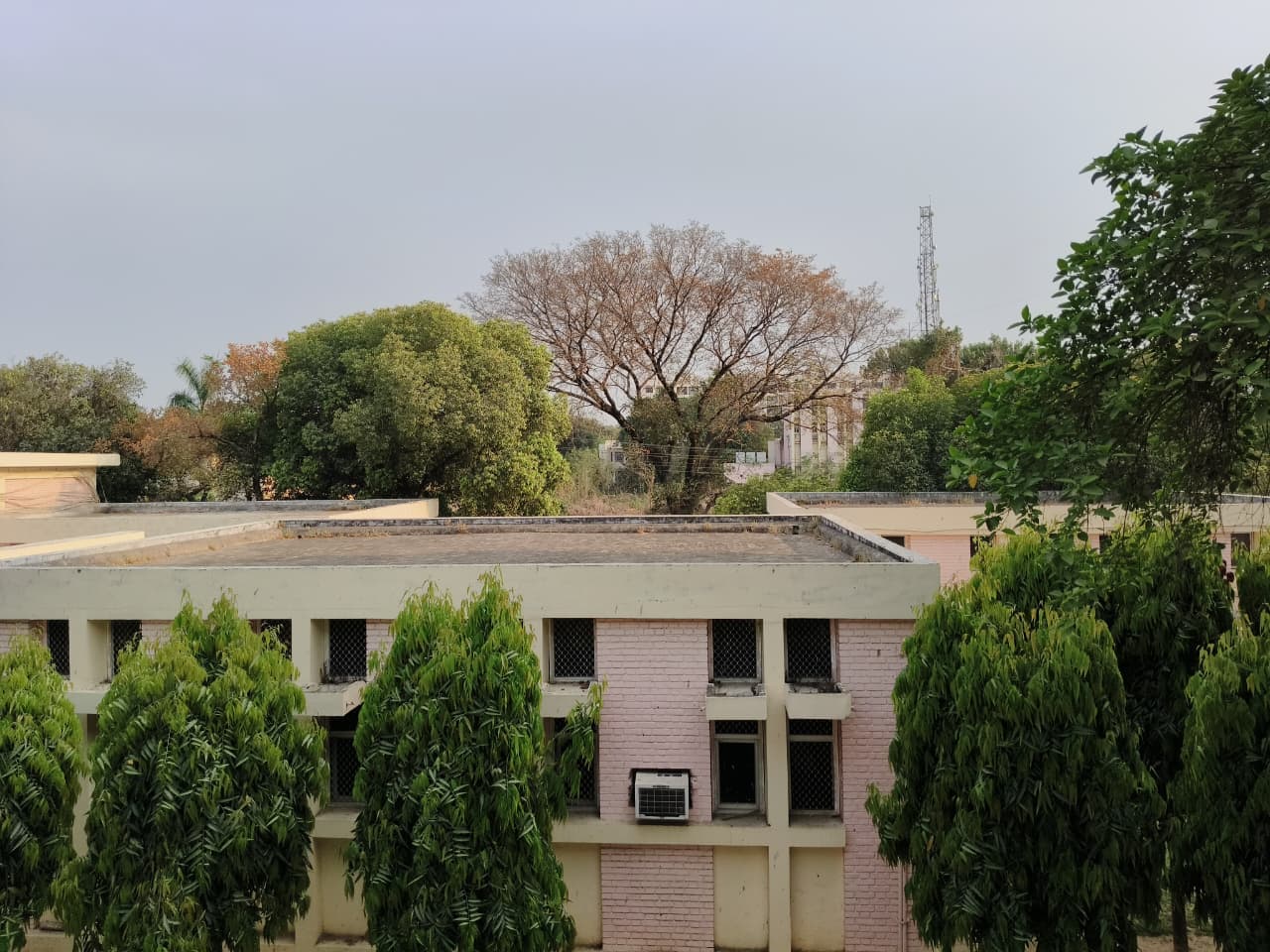 MNNIT Allahabad Campus photo 21